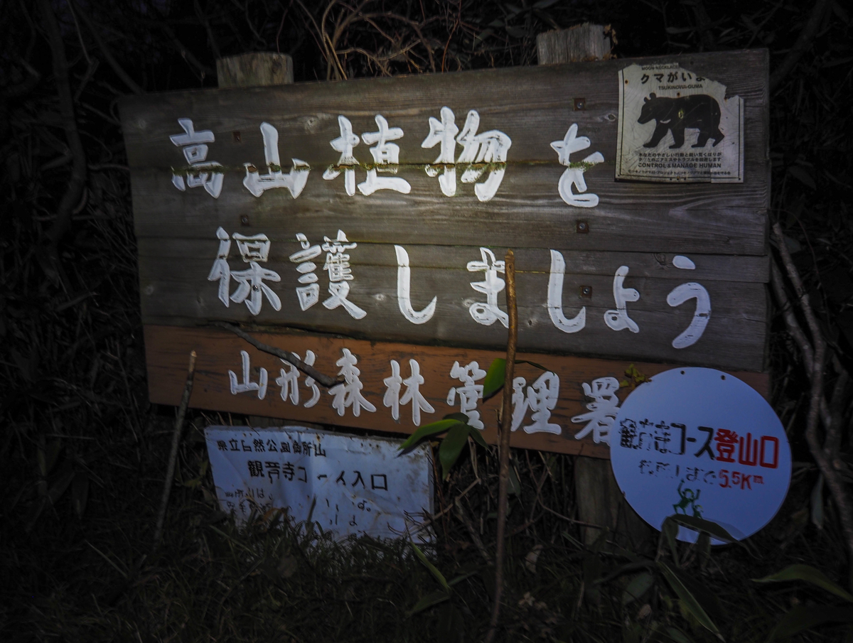 f:id:pft78526:20211113210248j:plain