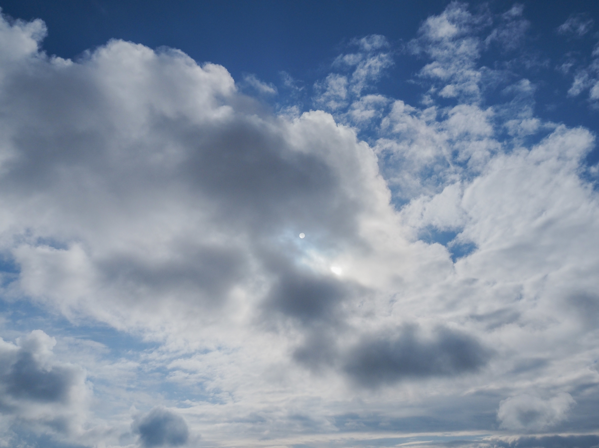 f:id:pft78526:20211123140757j:plain