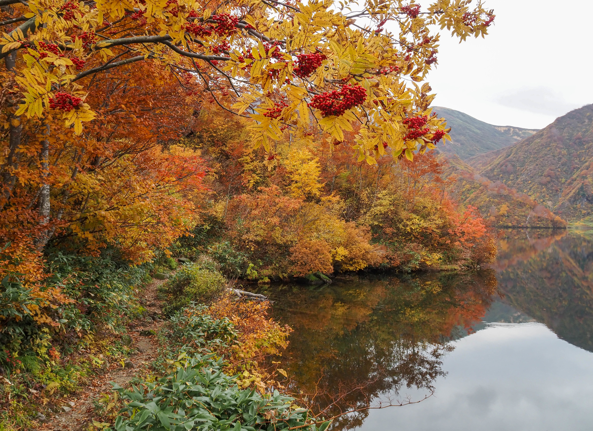 f:id:pft78526:20211130054747j:plain