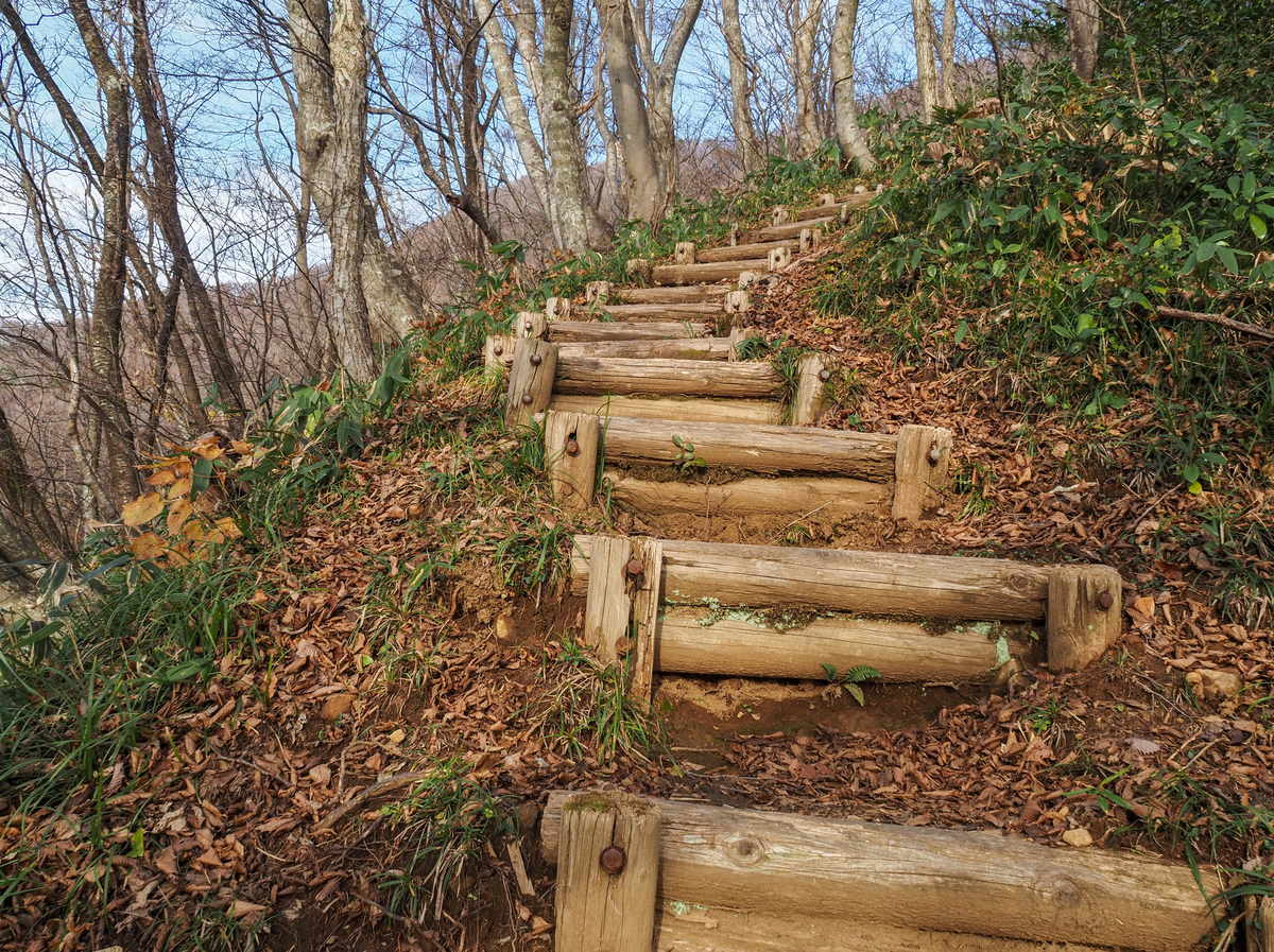 f:id:pft78526:20211204174637j:plain