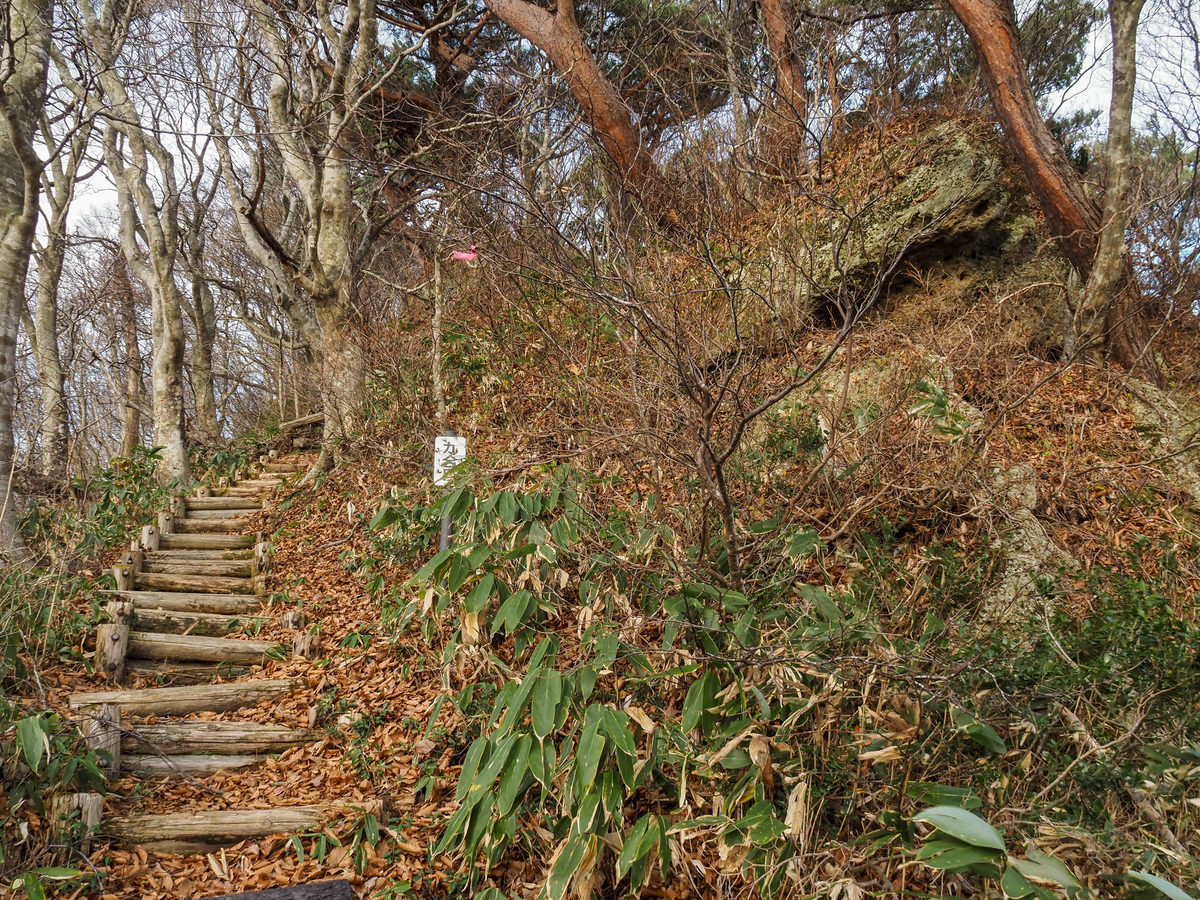 f:id:pft78526:20211204175046j:plain