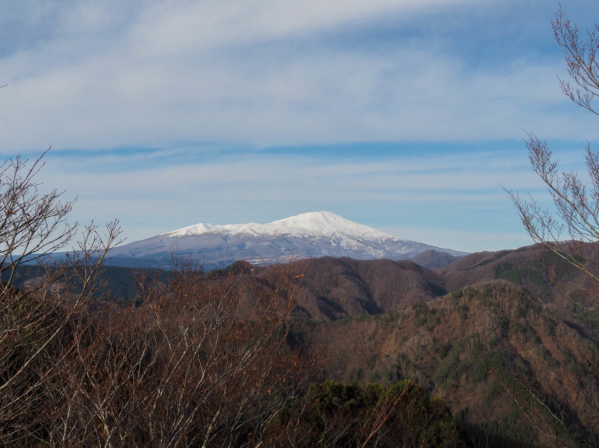 f:id:pft78526:20211204175450j:plain