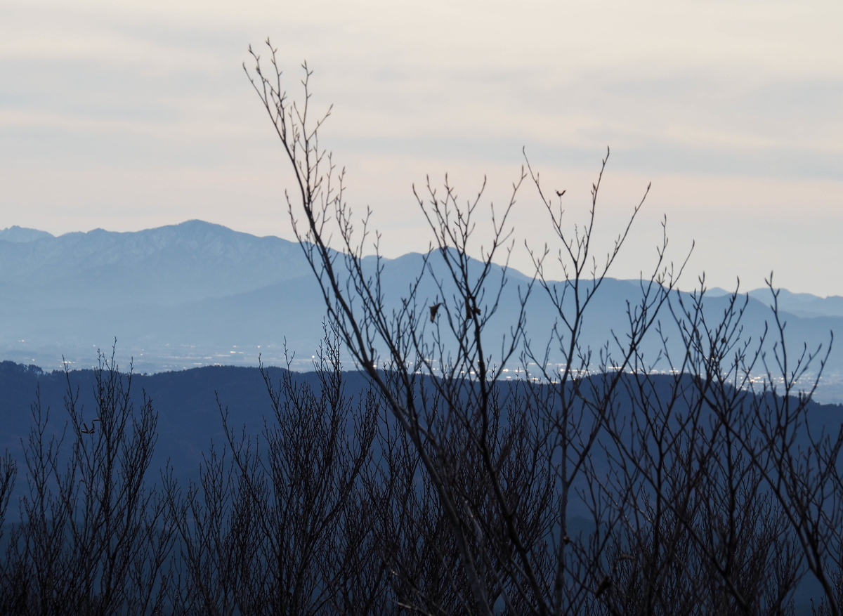 f:id:pft78526:20211204175512j:plain