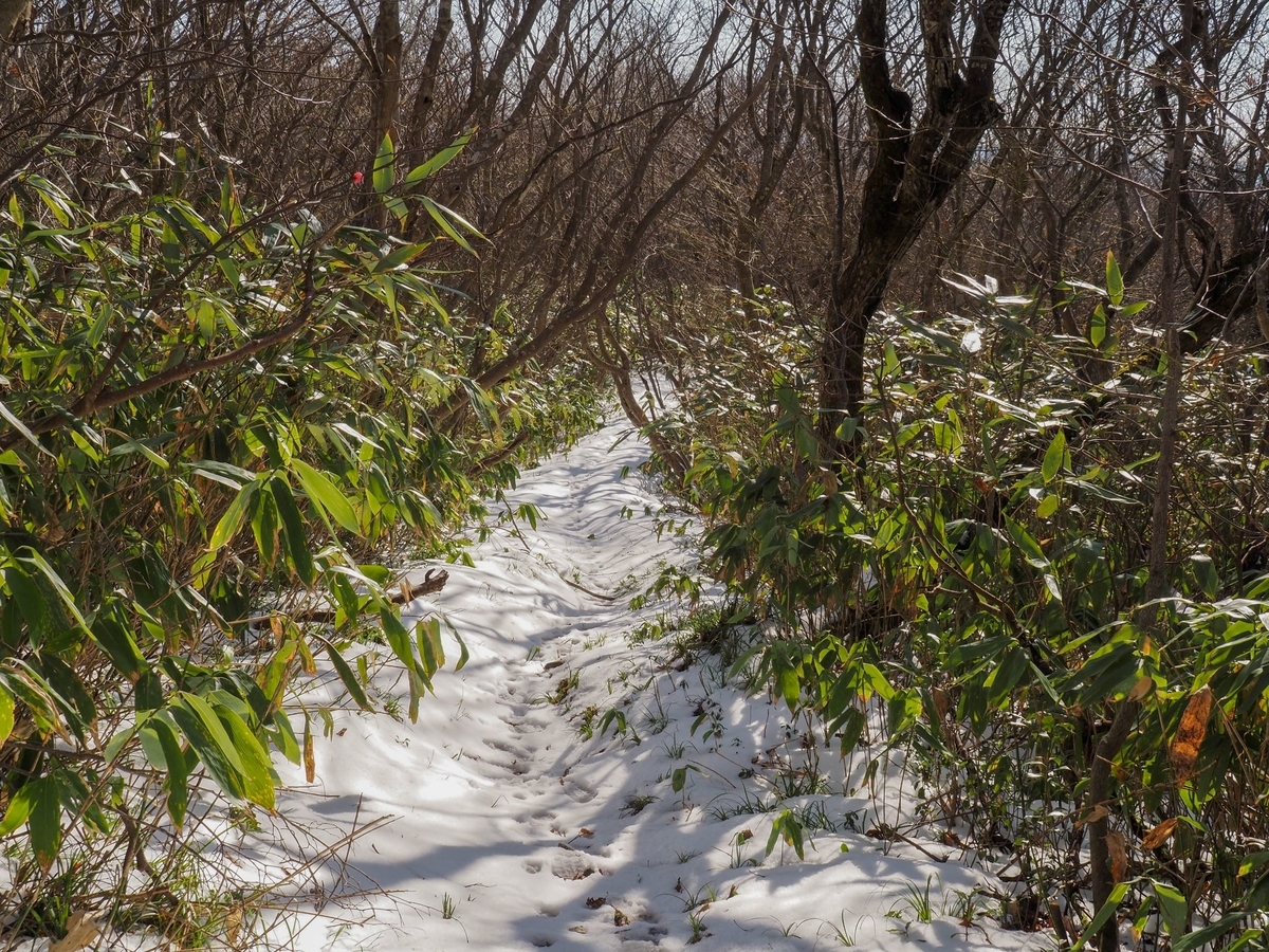 f:id:pft78526:20211205193752j:plain