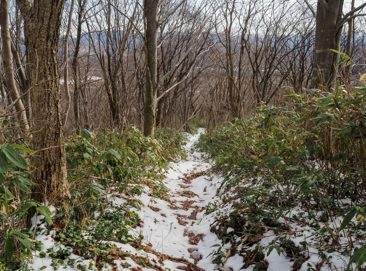 f:id:pft78526:20211205194413j:plain