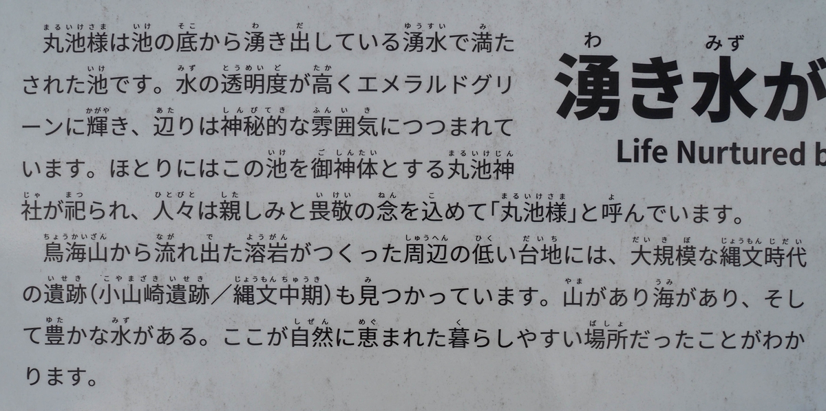 f:id:pft78526:20211208070732j:plain