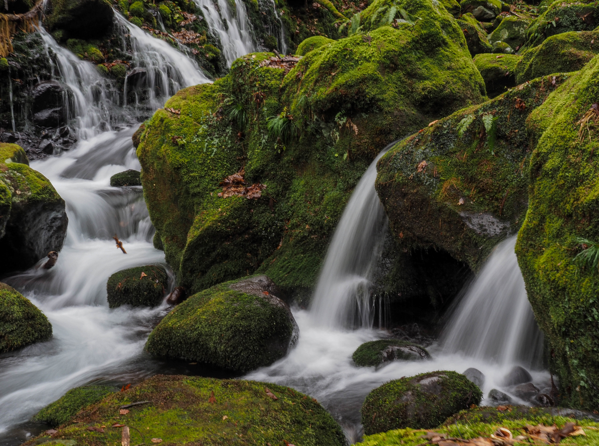 f:id:pft78526:20211212090538j:plain