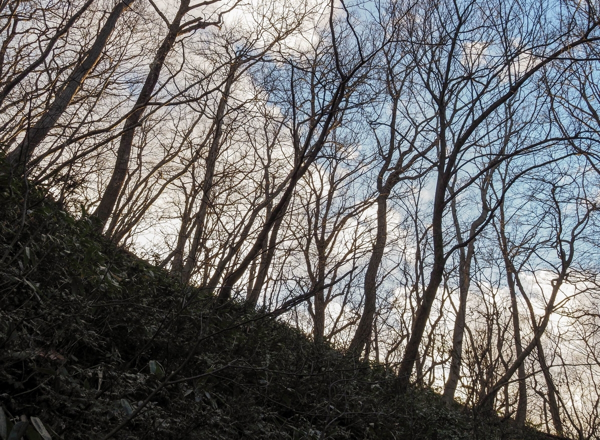 f:id:pft78526:20211216114644j:plain