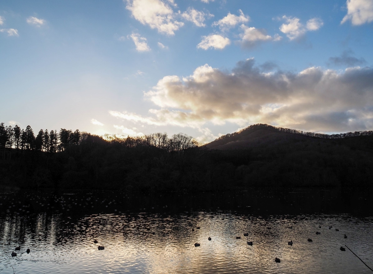 f:id:pft78526:20211216120410j:plain