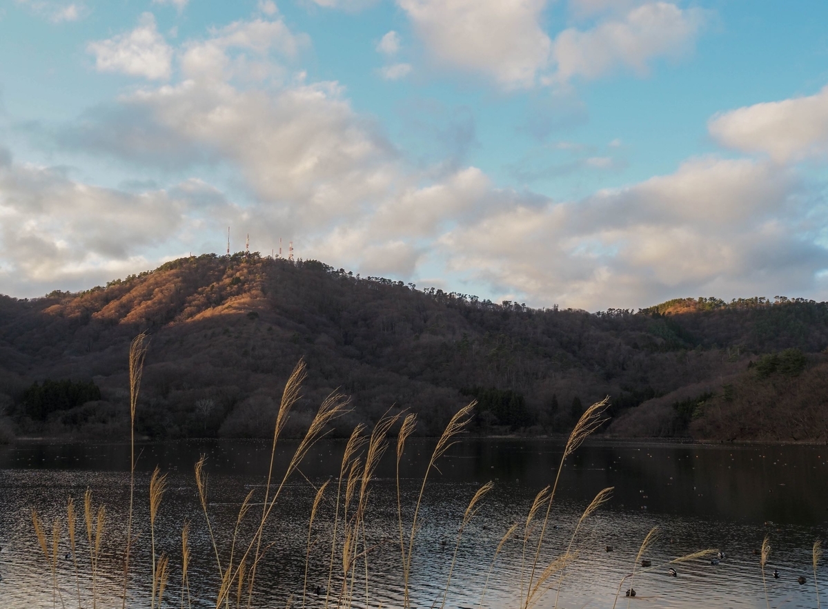 f:id:pft78526:20211216120432j:plain