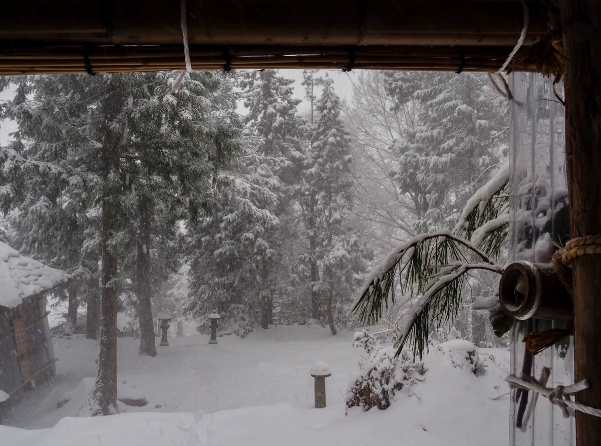 f:id:pft78526:20211225174212j:plain