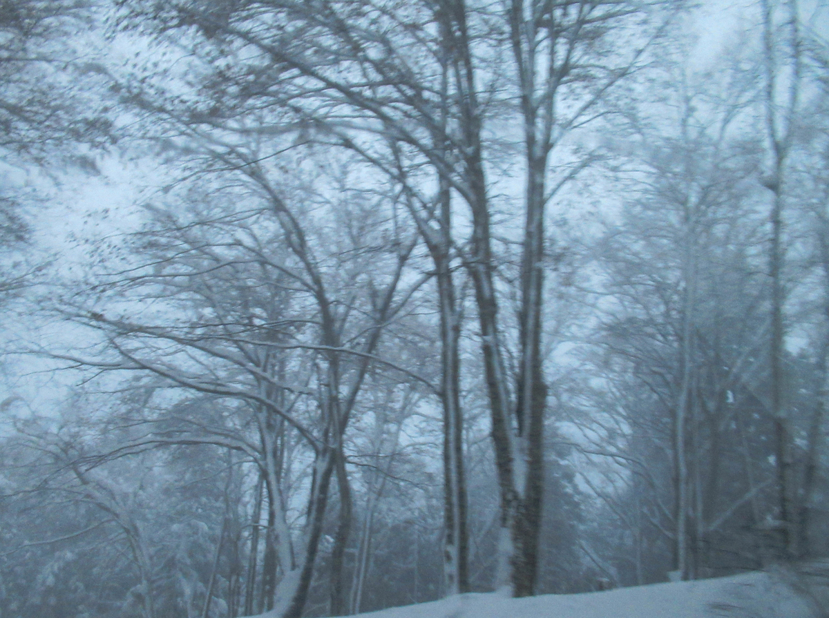 f:id:pft78526:20220105092335j:plain