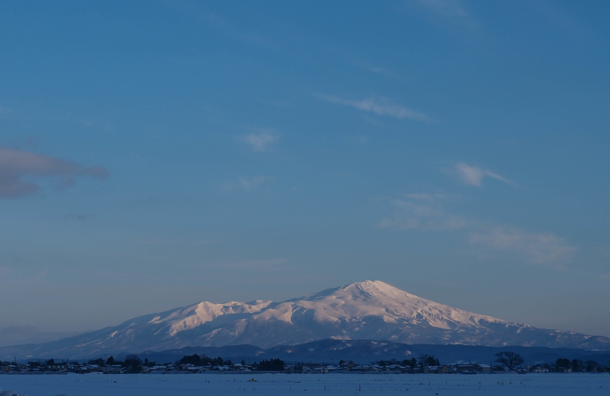 f:id:pft78526:20220110210540j:plain
