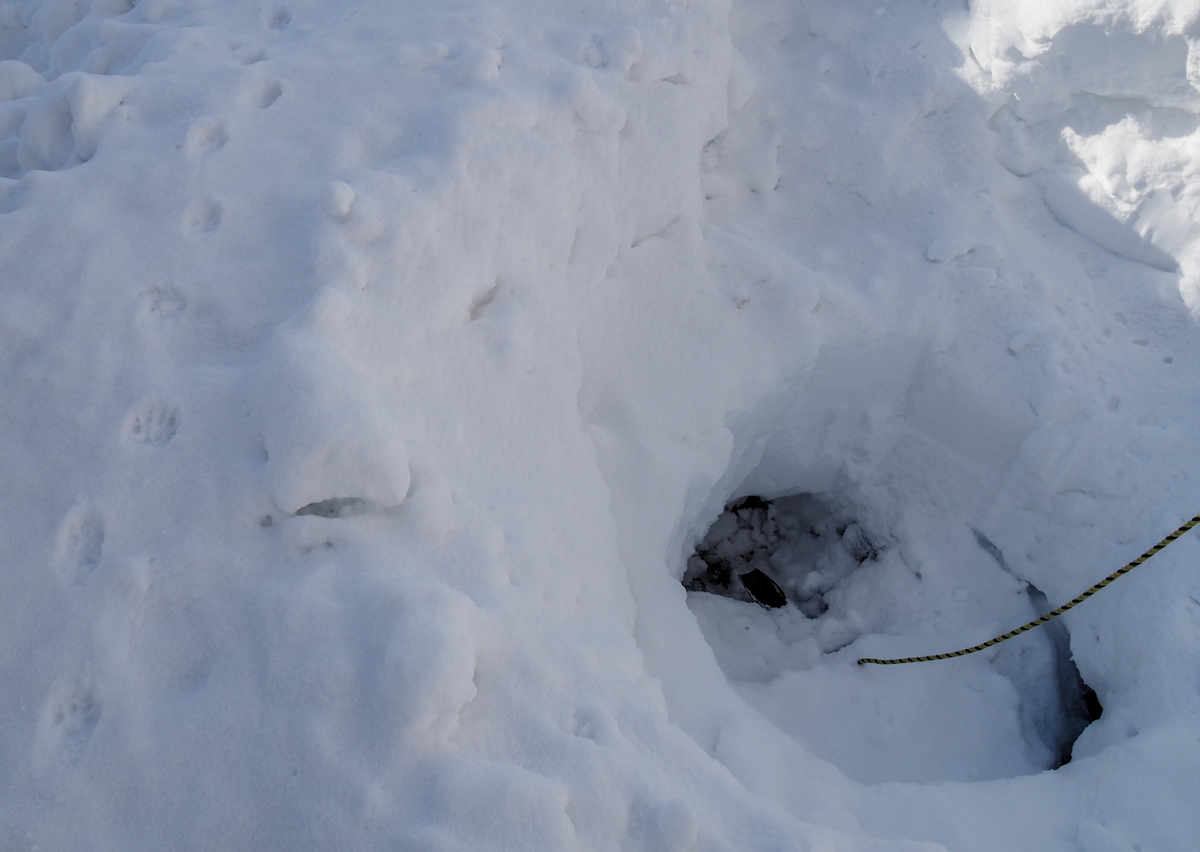 f:id:pft78526:20220110210944j:plain