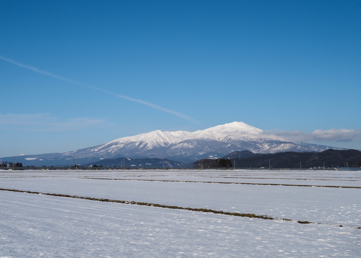 f:id:pft78526:20220112141534j:plain