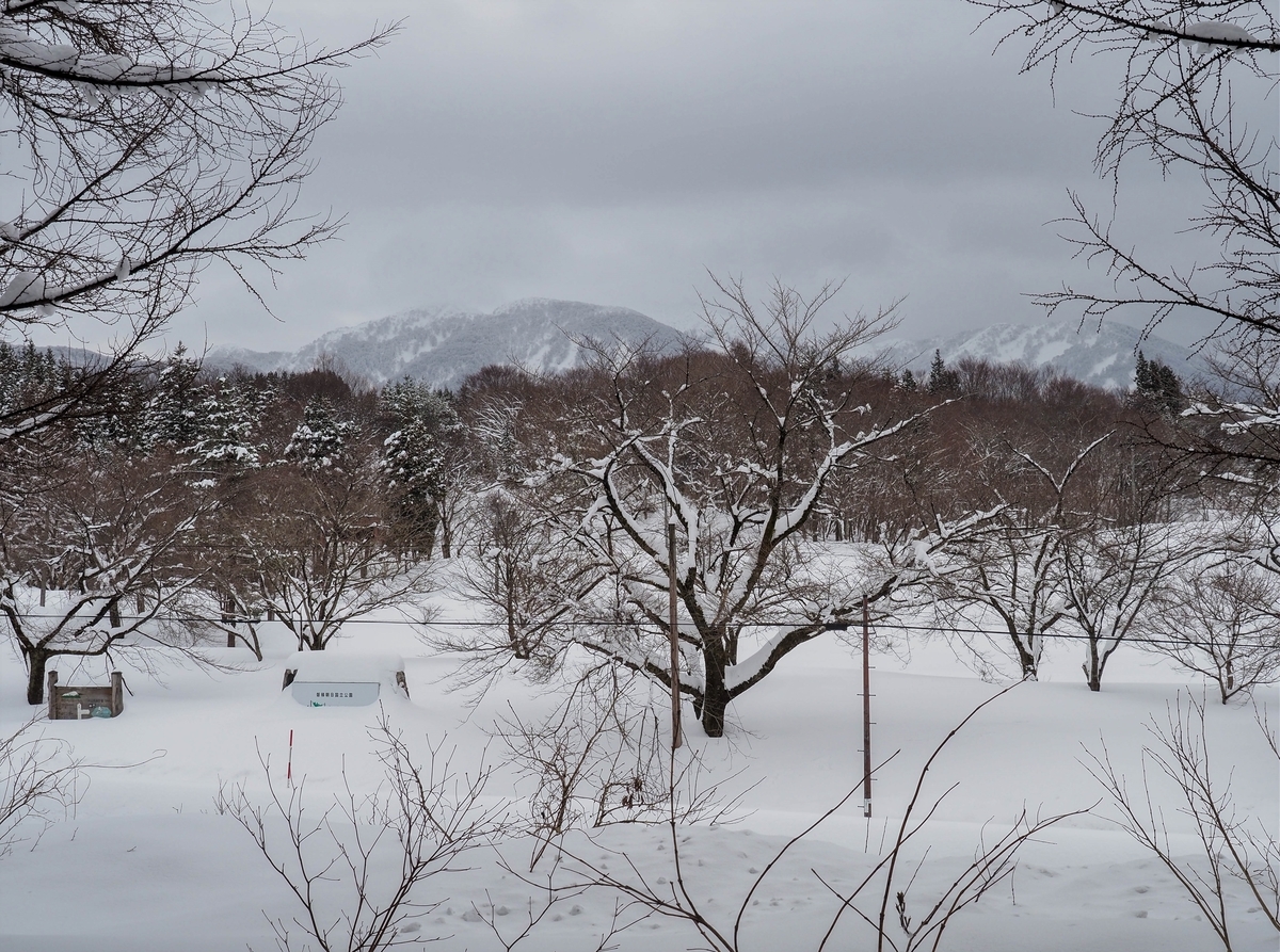 f:id:pft78526:20220125085231j:plain