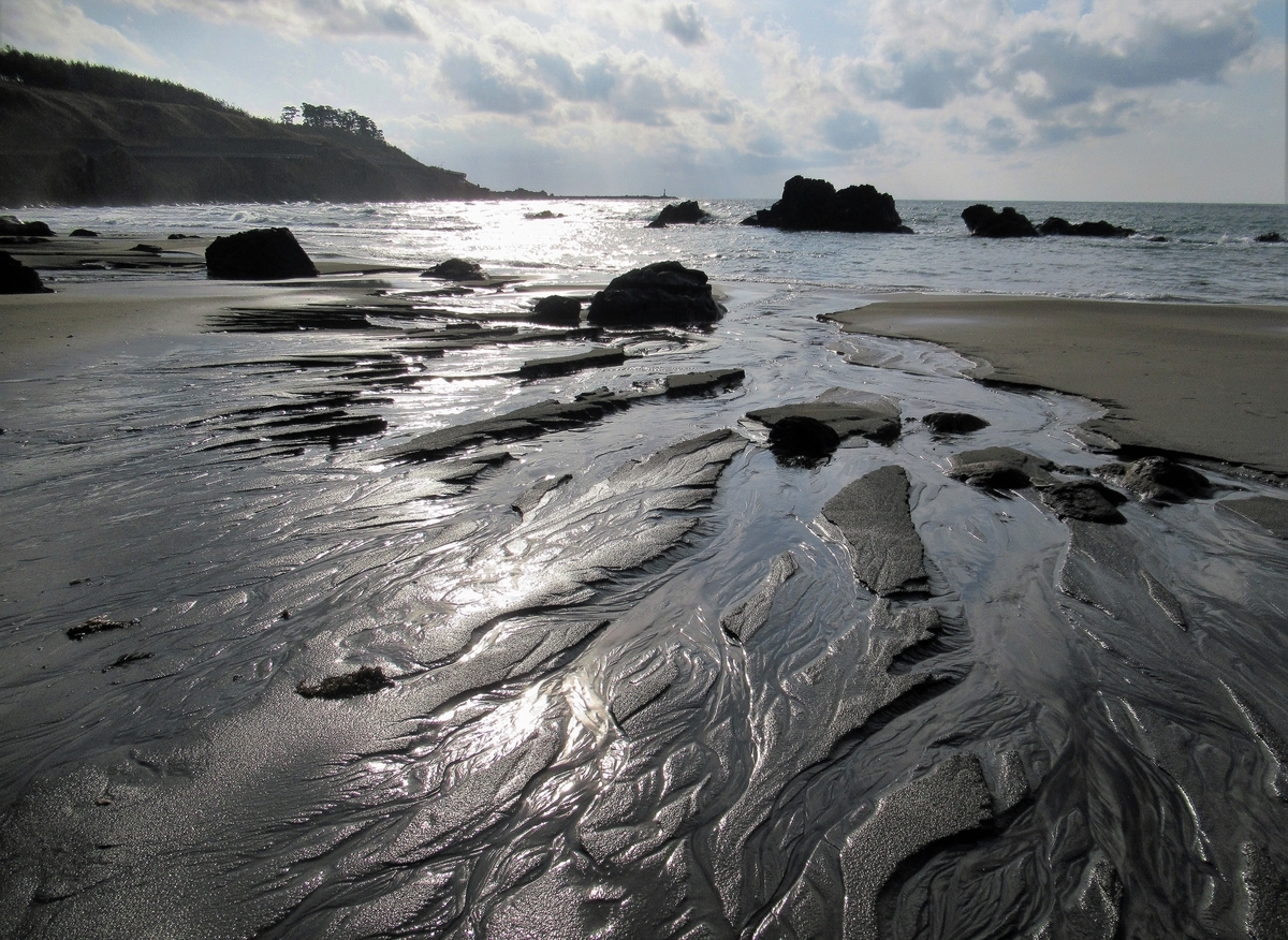 f:id:pft78526:20220125181214j:plain