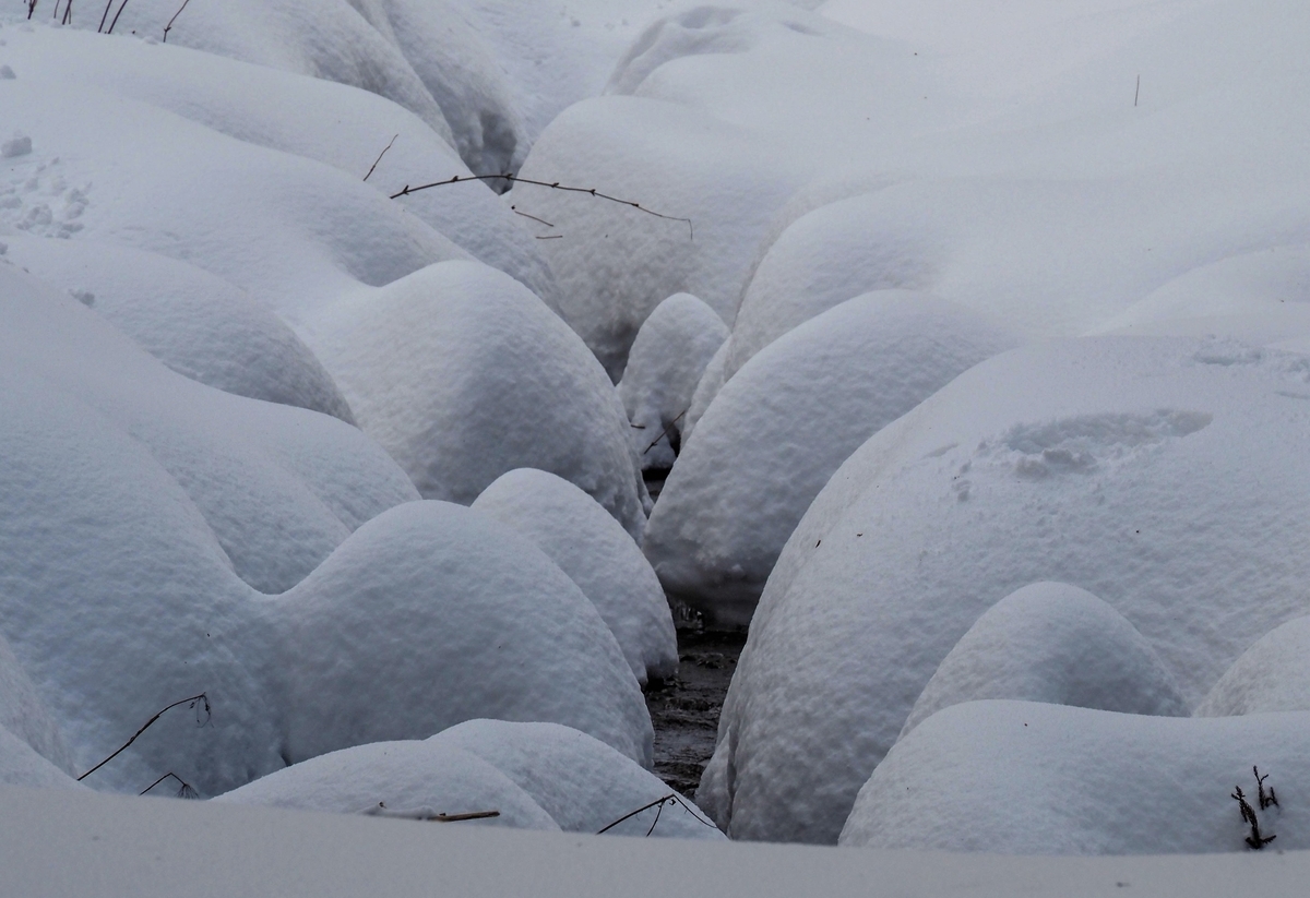 f:id:pft78526:20220203070840j:plain