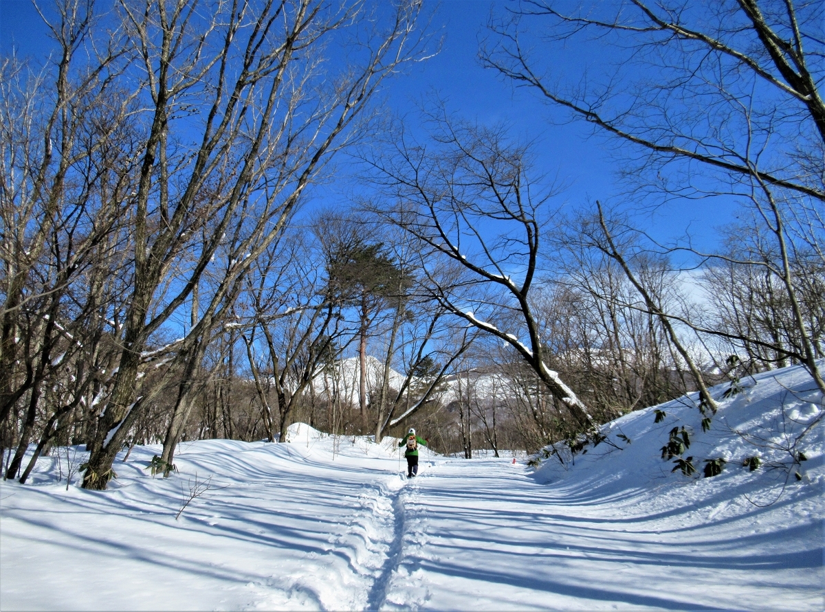 f:id:pft78526:20220206153843j:plain