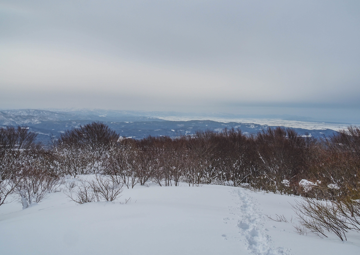 f:id:pft78526:20220220190337j:plain