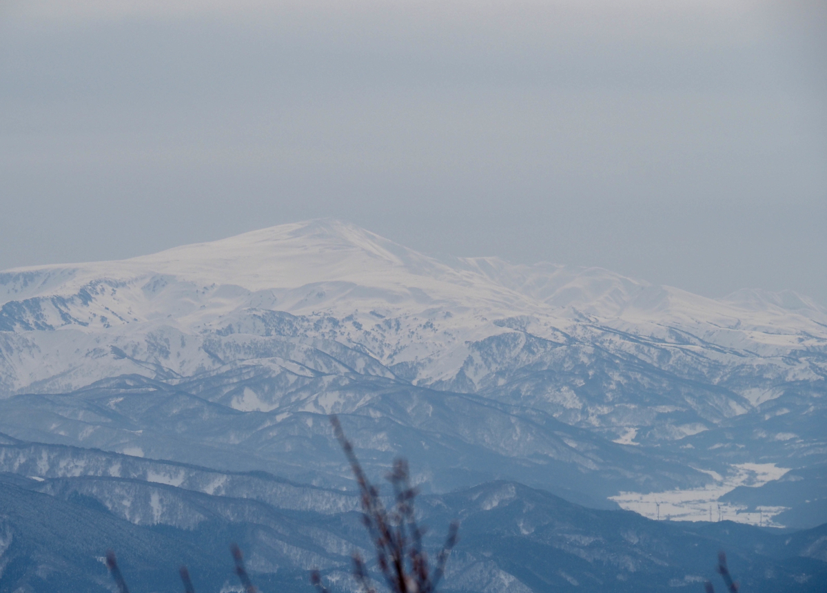 f:id:pft78526:20220220191526j:plain