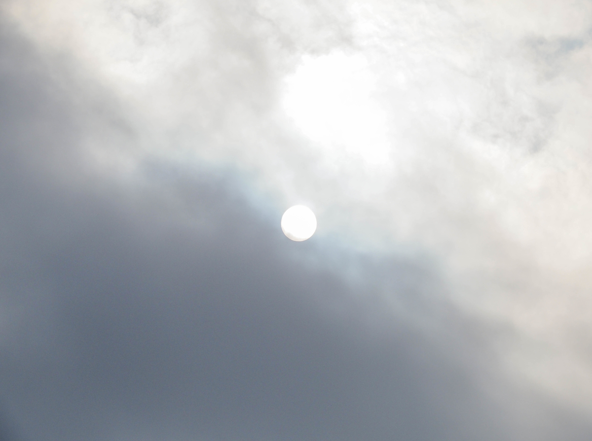 f:id:pft78526:20220227124339j:plain