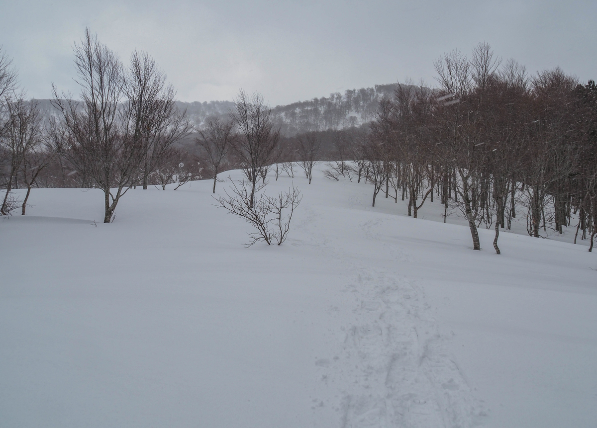 f:id:pft78526:20220305200713j:plain