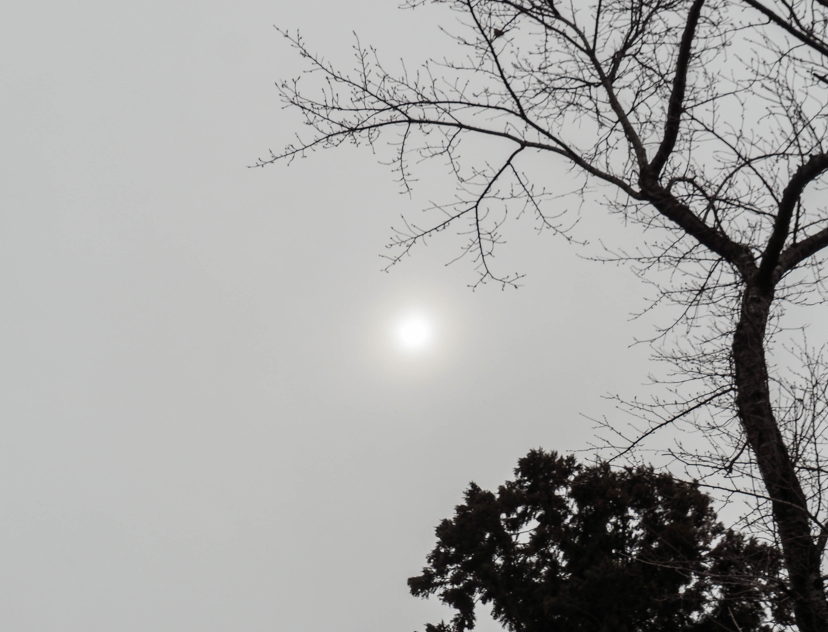 f:id:pft78526:20220324150929j:plain