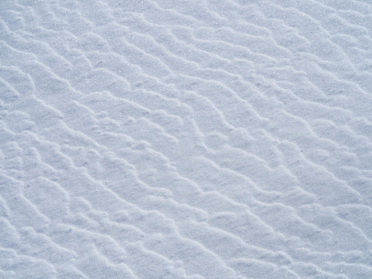 f:id:pft78526:20220330164122j:plain