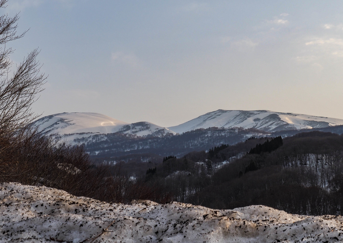 f:id:pft78526:20220413053112j:plain