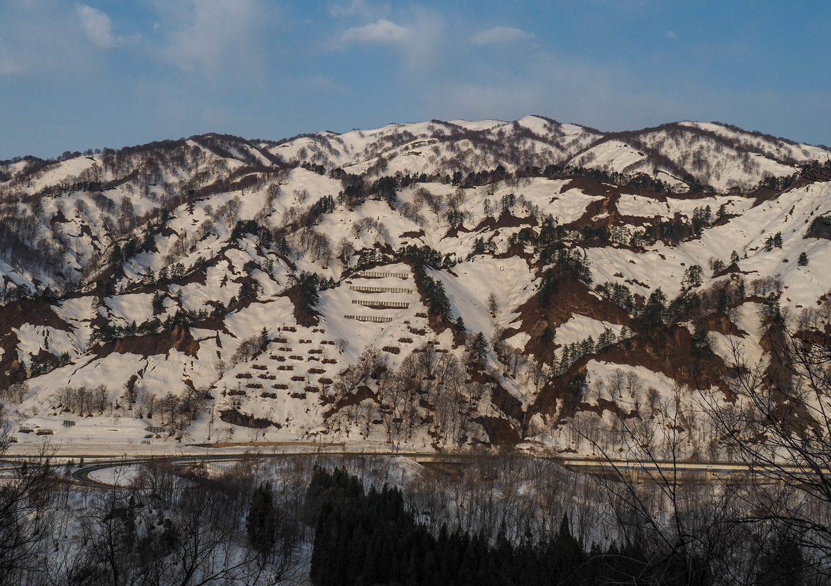 f:id:pft78526:20220413053119j:plain