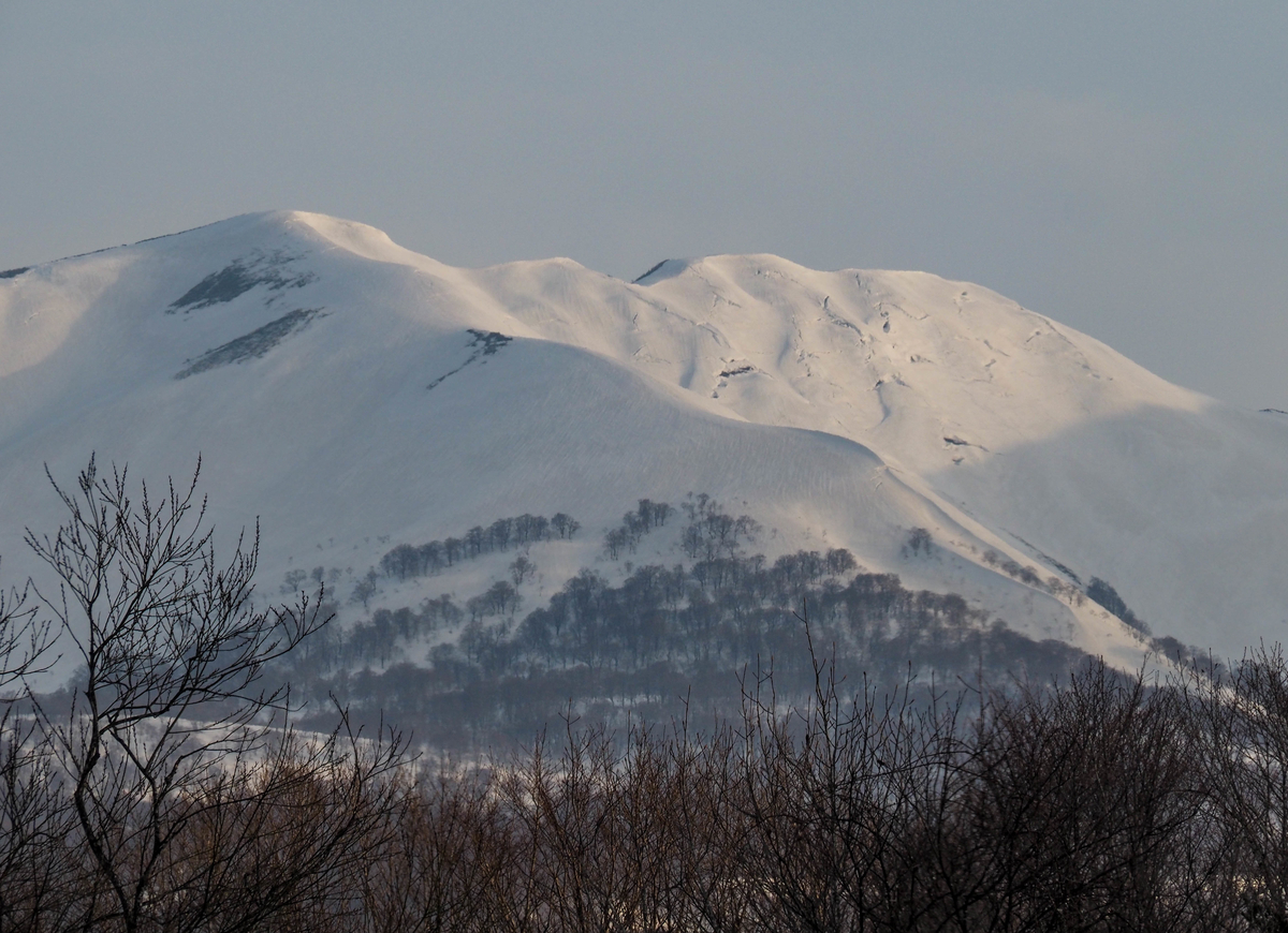 f:id:pft78526:20220413053358j:plain