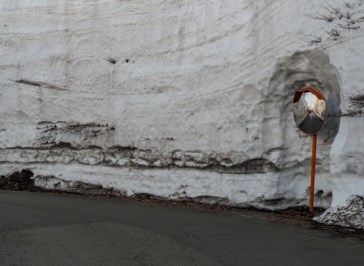 f:id:pft78526:20220413053414j:plain