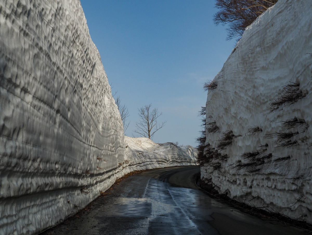 f:id:pft78526:20220413053420j:plain