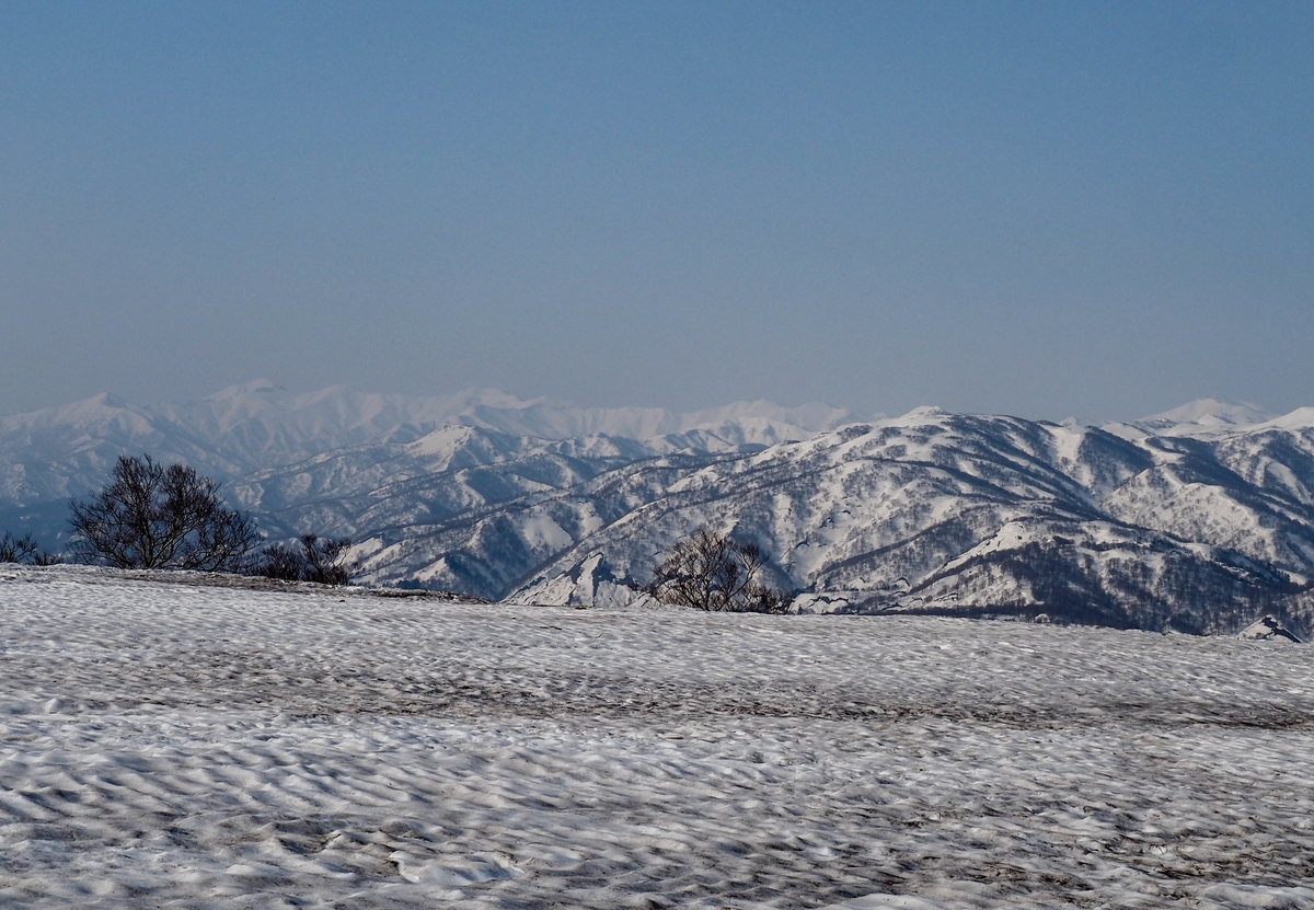 f:id:pft78526:20220413053445j:plain