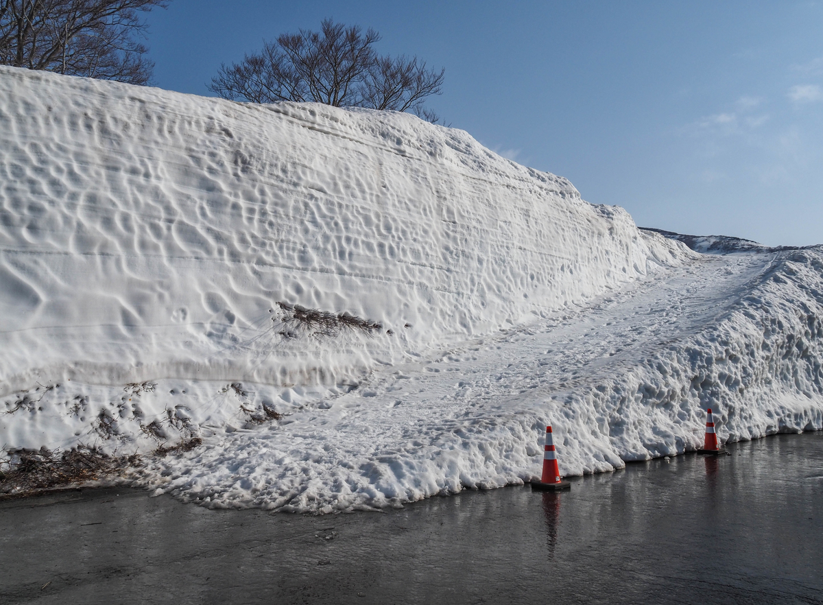 f:id:pft78526:20220413053449j:plain