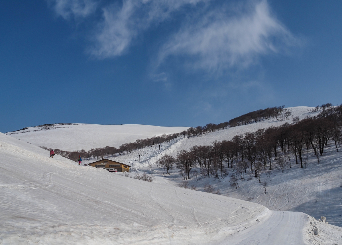 f:id:pft78526:20220413053526j:plain