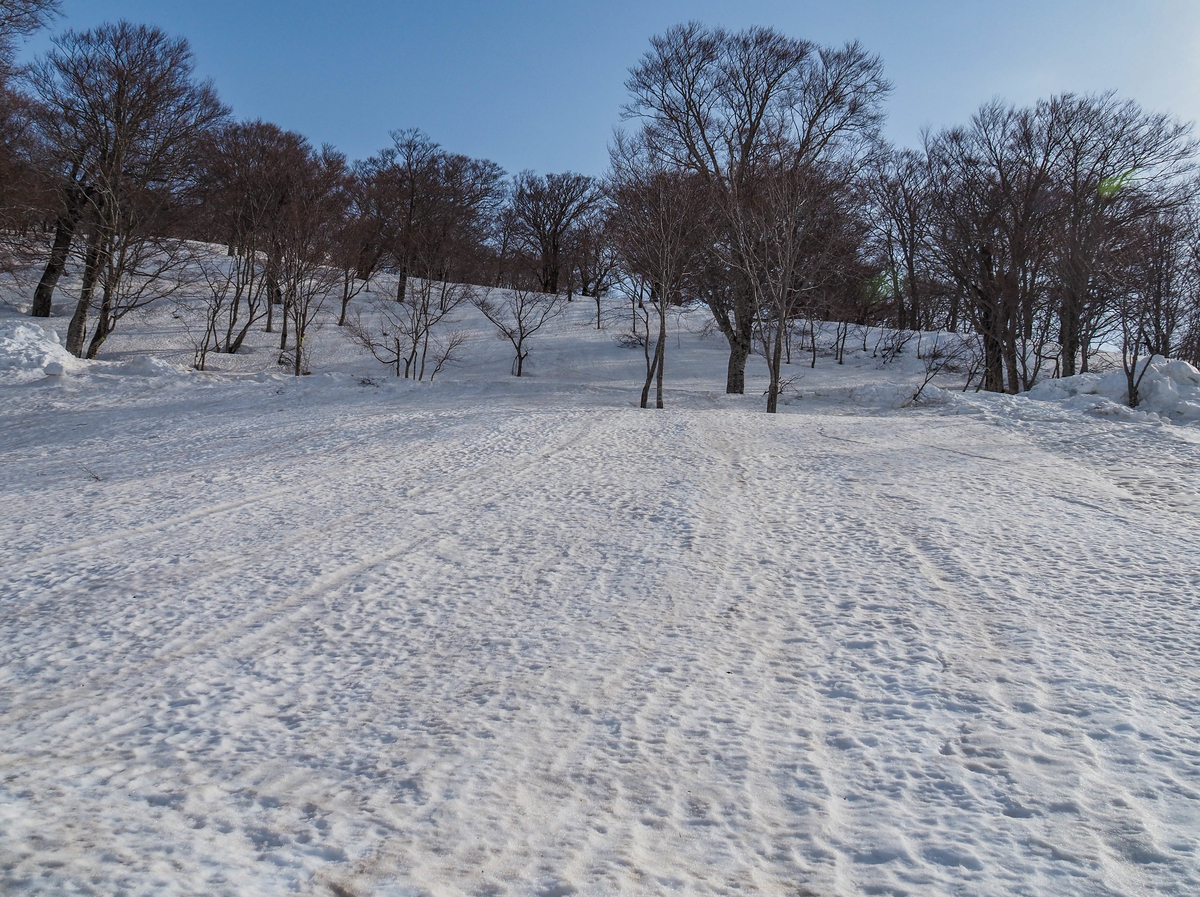 f:id:pft78526:20220413053541j:plain