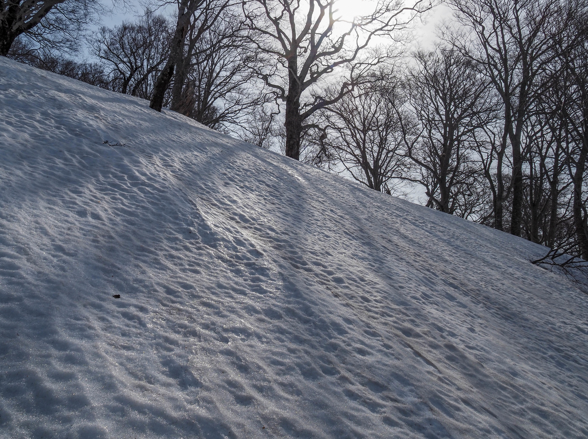 f:id:pft78526:20220413053547j:plain