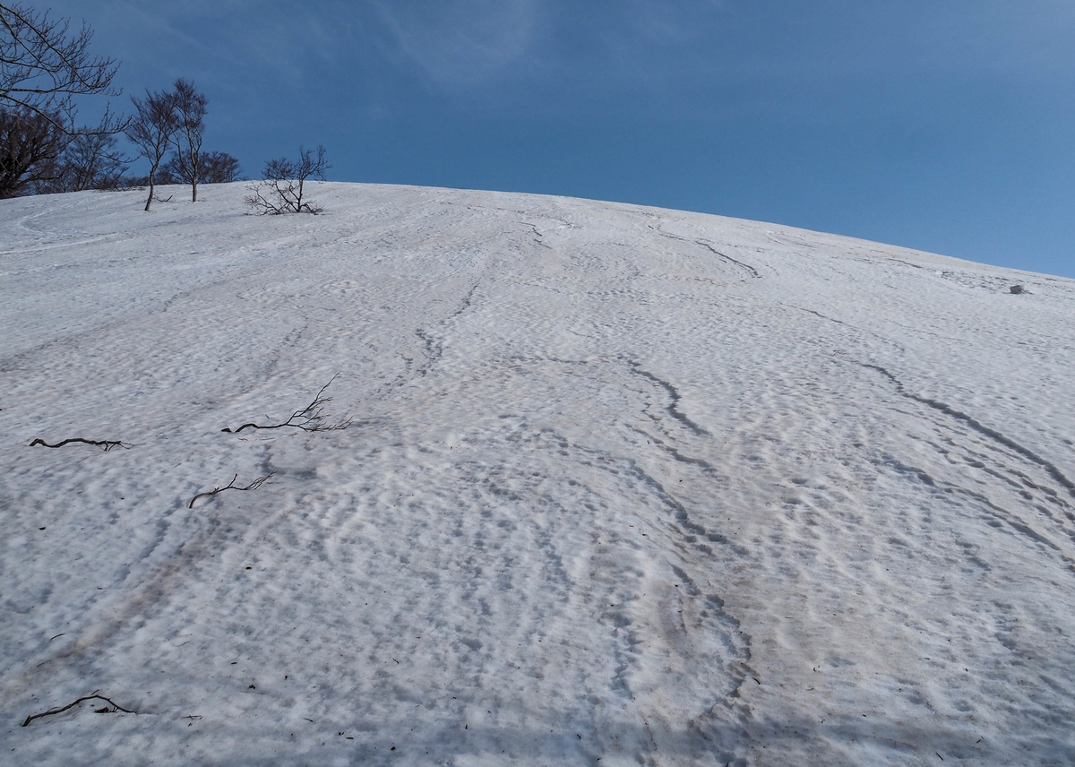 f:id:pft78526:20220413053619j:plain