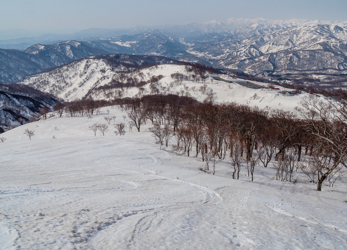 f:id:pft78526:20220413053648j:plain