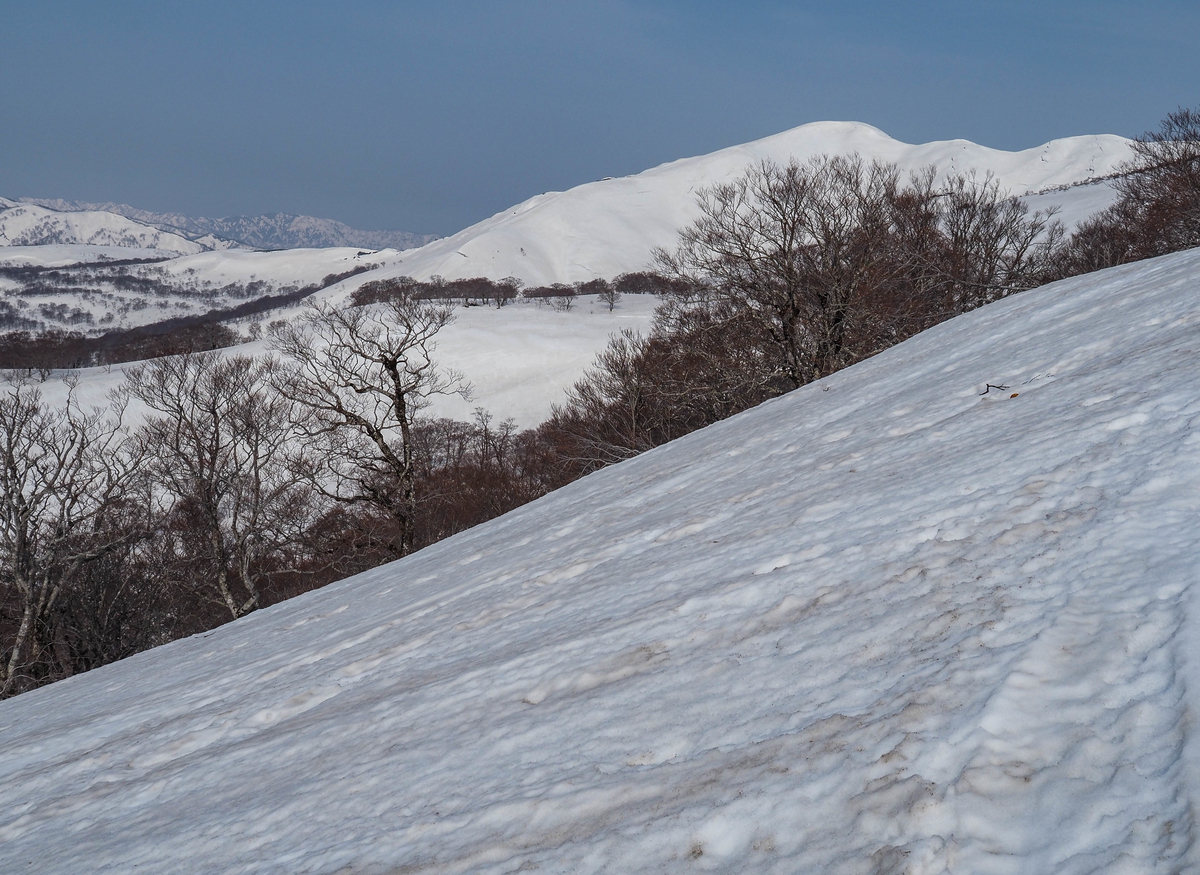 f:id:pft78526:20220413053705j:plain