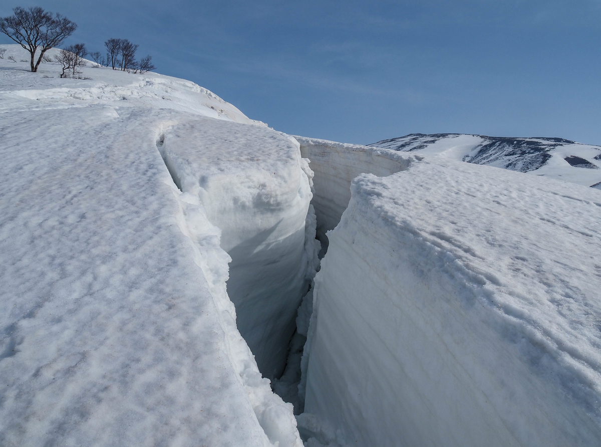 f:id:pft78526:20220413053716j:plain