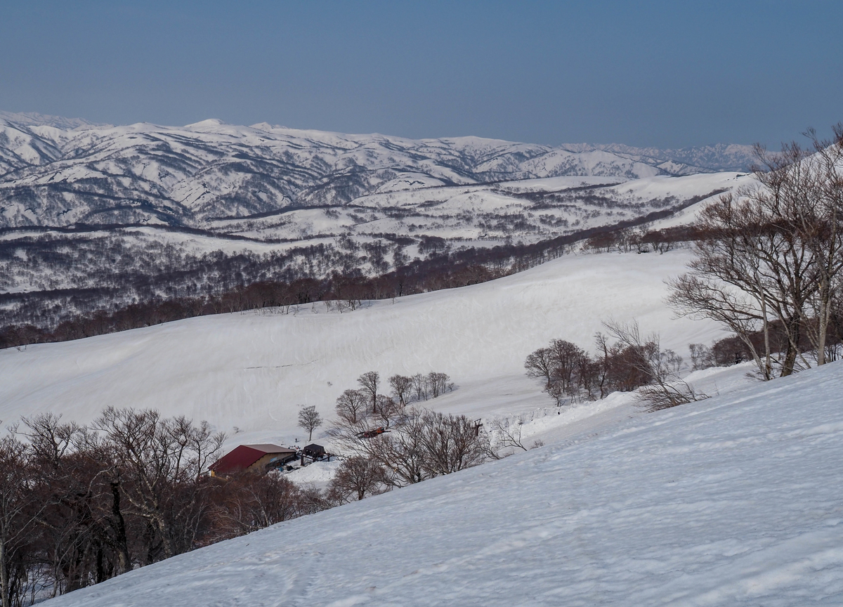 f:id:pft78526:20220413053729j:plain