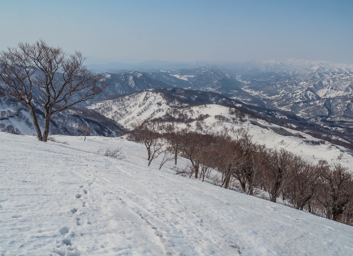 f:id:pft78526:20220413053734j:plain