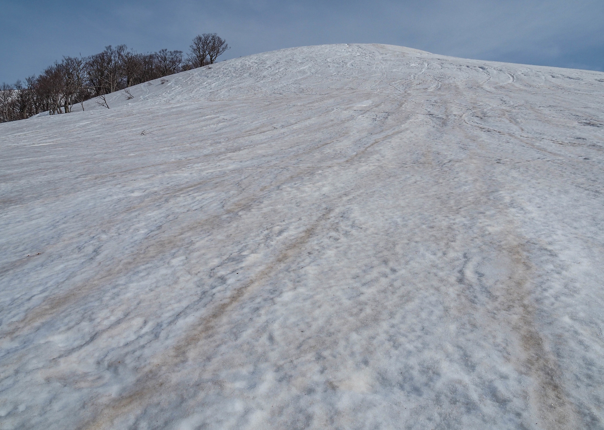 f:id:pft78526:20220413053745j:plain