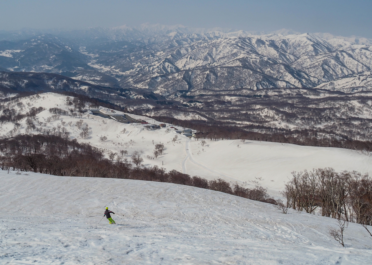 f:id:pft78526:20220413053750j:plain