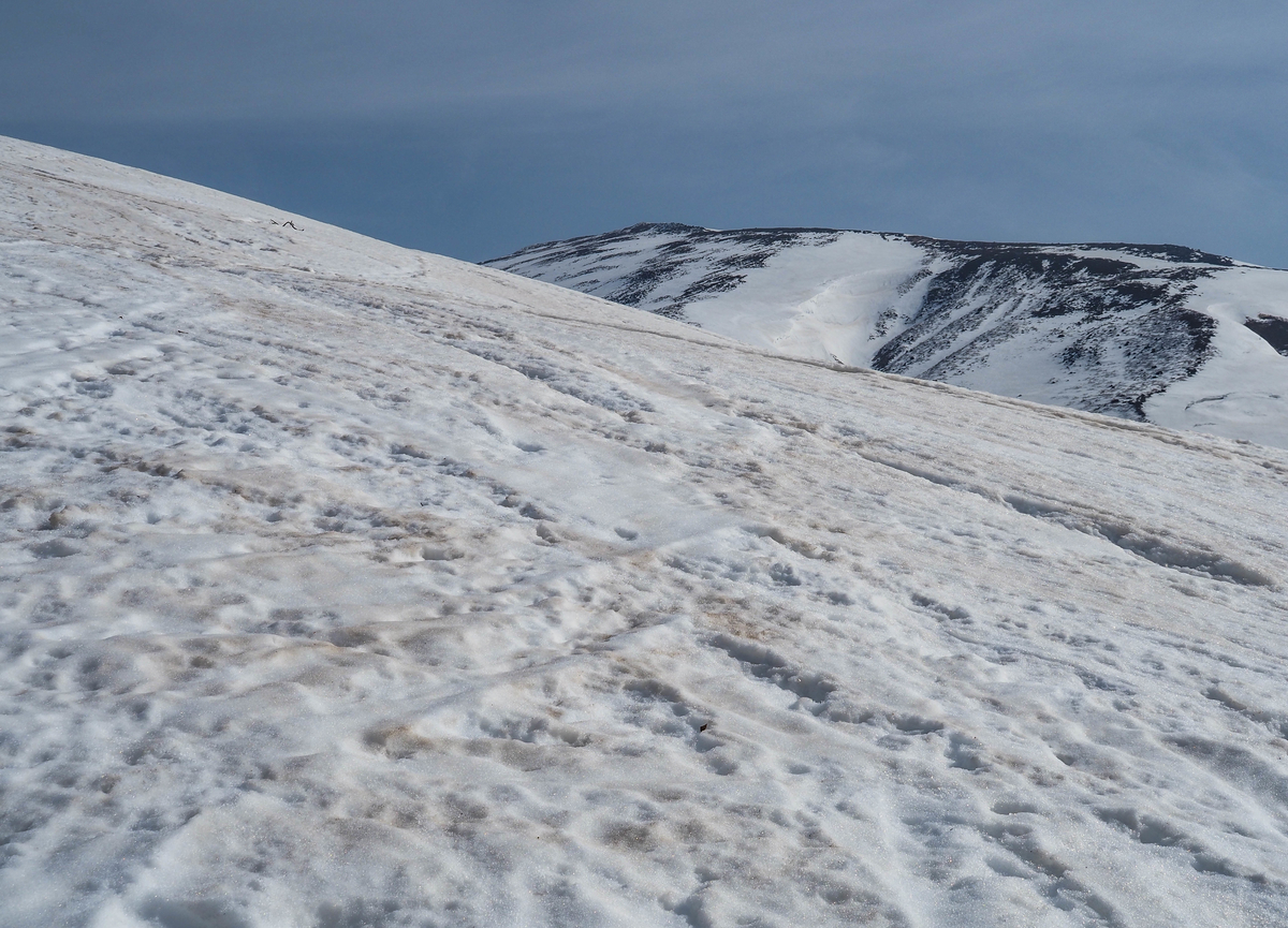 f:id:pft78526:20220413053755j:plain