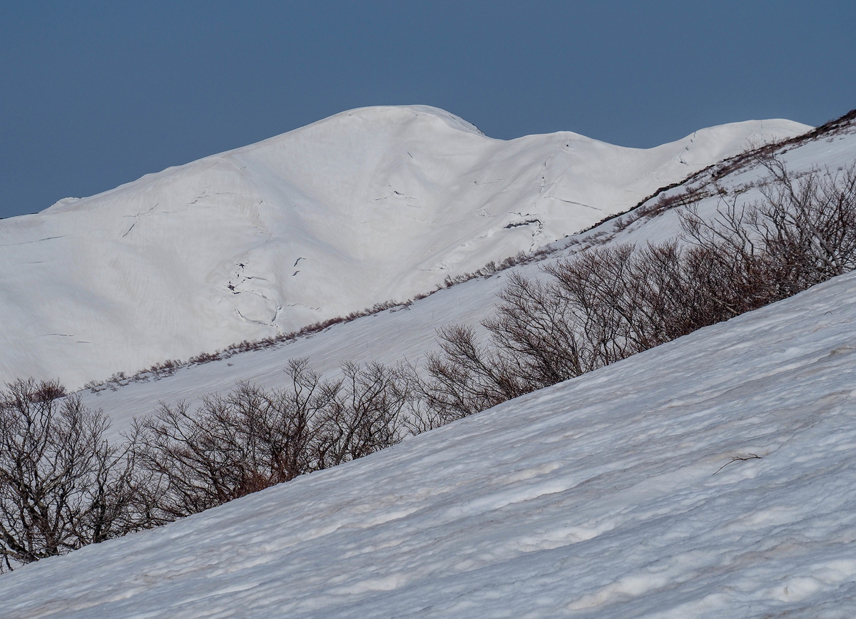 f:id:pft78526:20220413053810j:plain