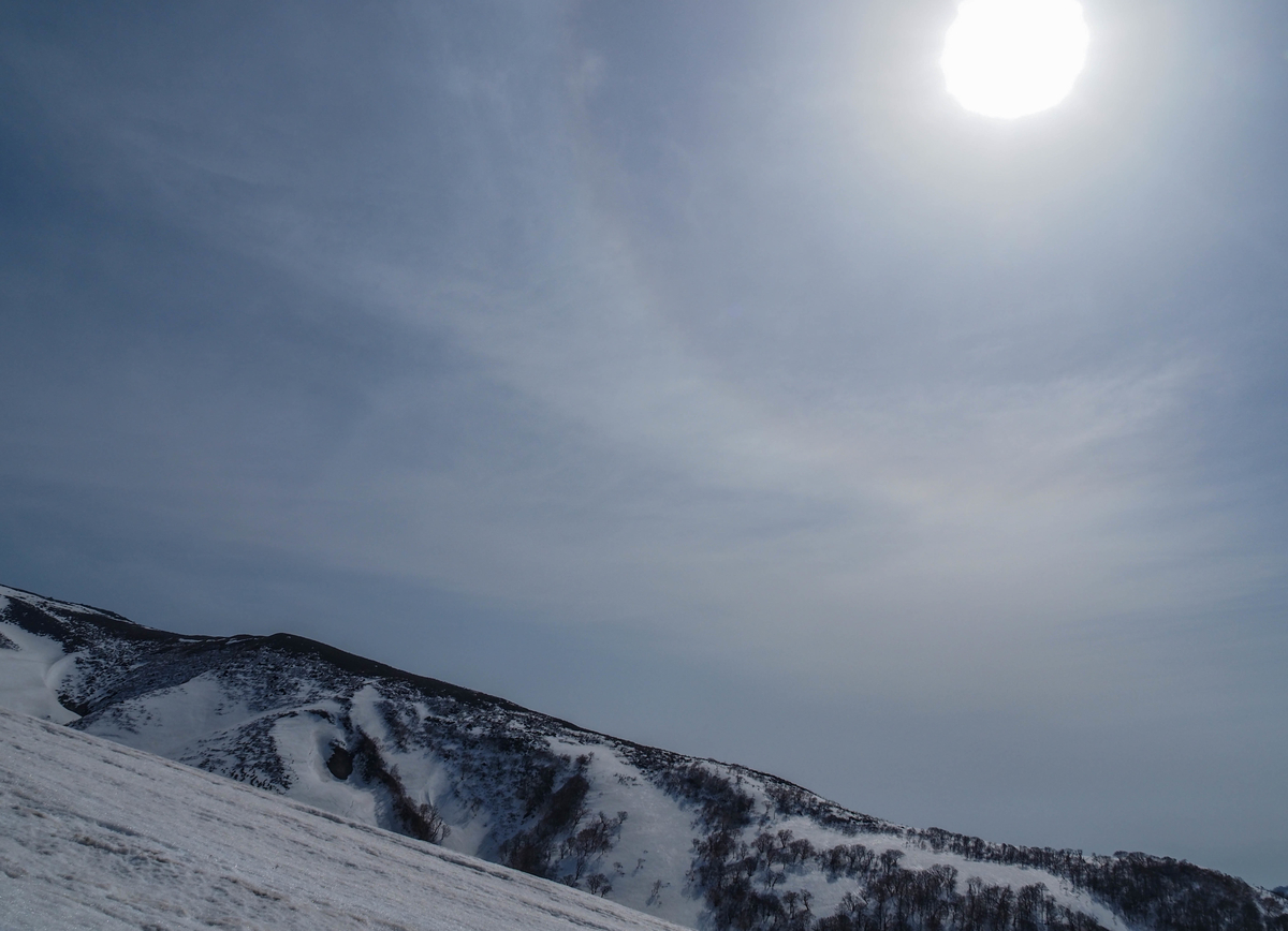 f:id:pft78526:20220413053815j:plain